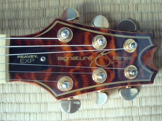 peavey (14).JPG