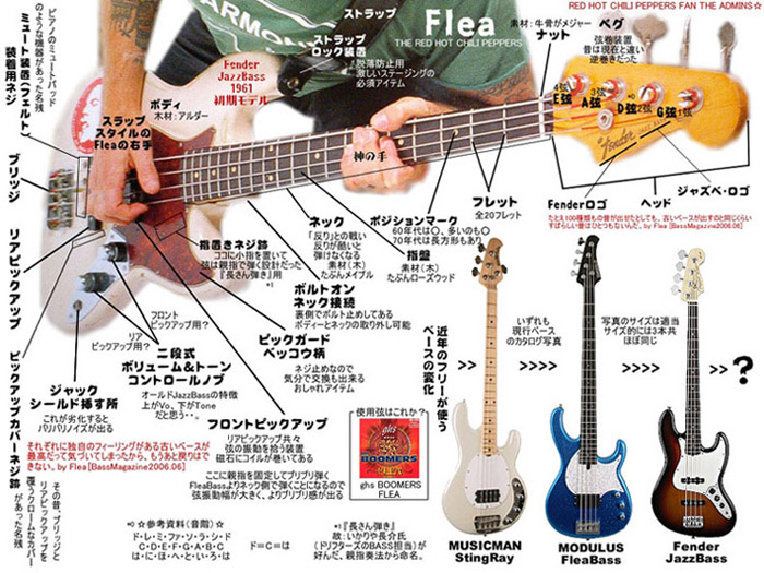 flea_bass_zukai.jpg