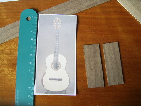 ssa45892-guitarzang.jpg