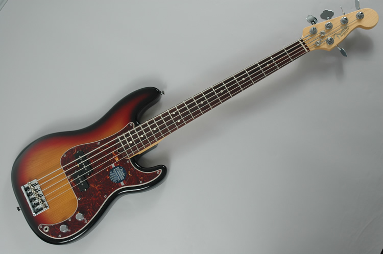 FENDER AMERICAN STANDARD 5 STRING PRECISION BASS 6.jpg