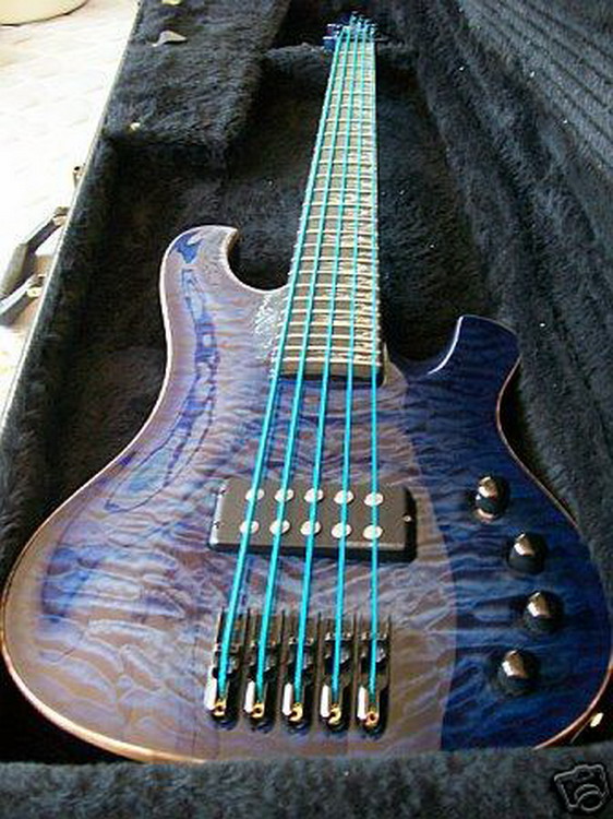 Schecter Custom Shop 5-string Bass Guitar3_缩小大小.jpg