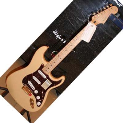 fender 013 3002.jpg