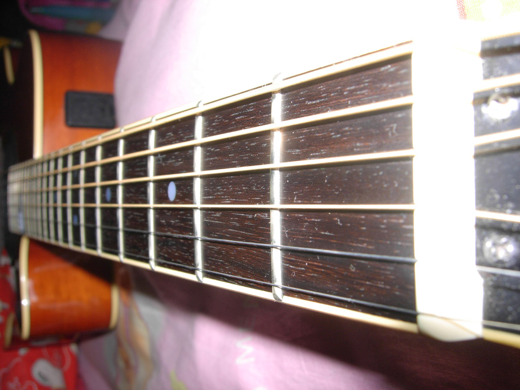 DSCN5727.jpg