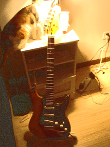 DSC07502.JPG