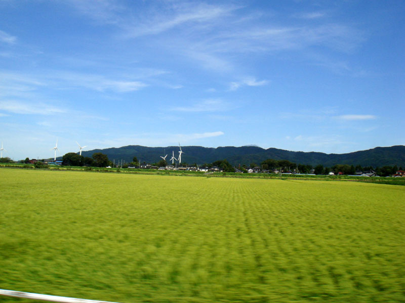 庄内美景，田园风光无限好