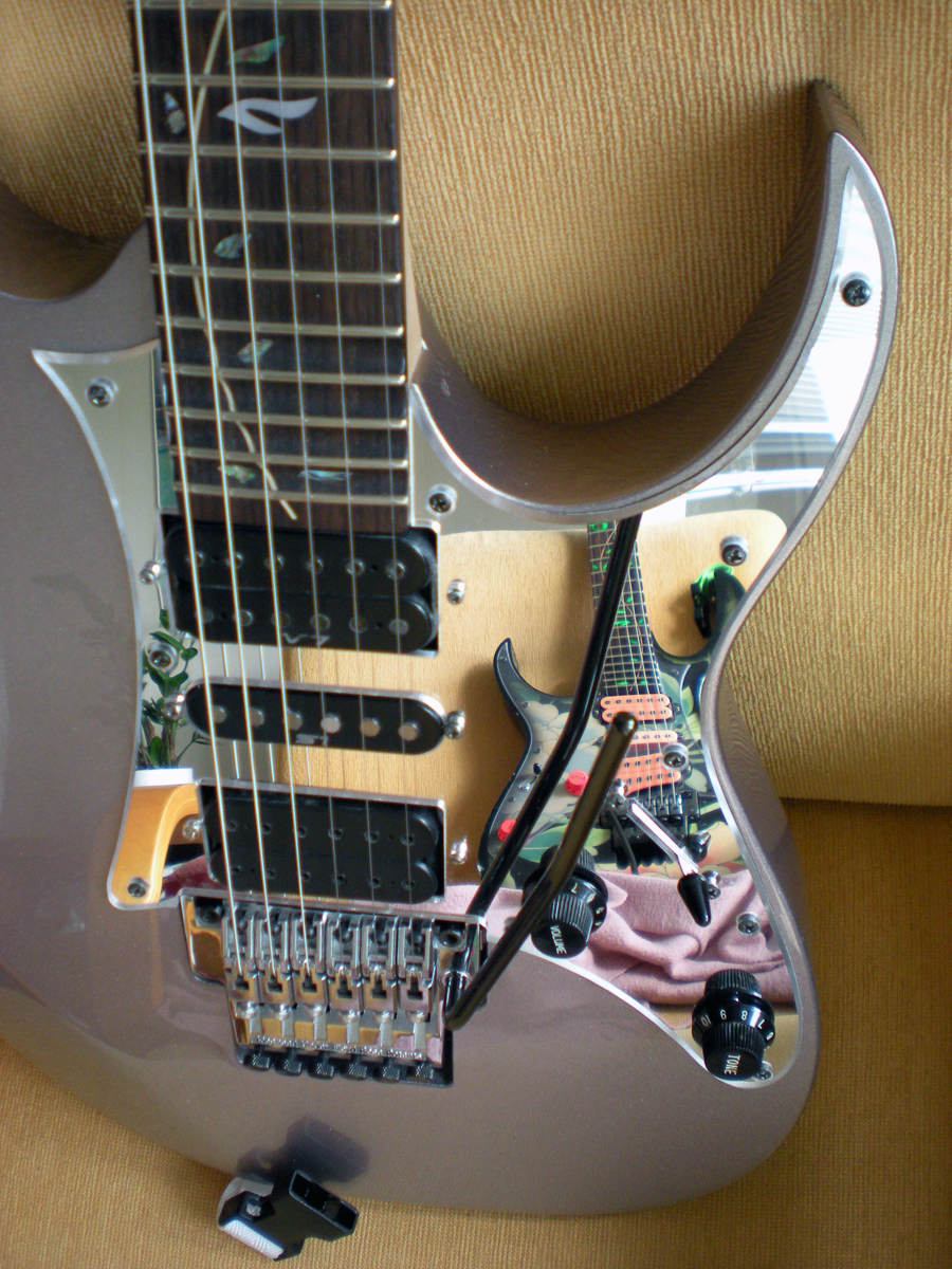 Ibanez JEM77FP Floral Pattern.jpg