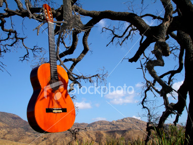 ist2_2292196-classical-guitar.jpg