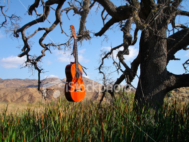 ist2_2292375-classical-guitar.jpg