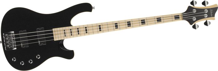 schecter 004.jpg