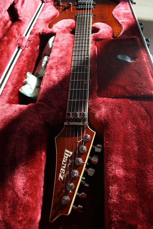 Ibanez-RGT3120-7.jpg