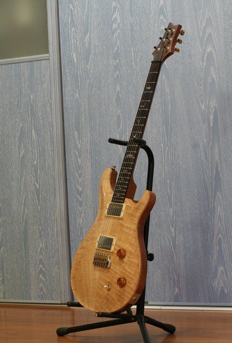 PRS_Brazilian_02.jpg