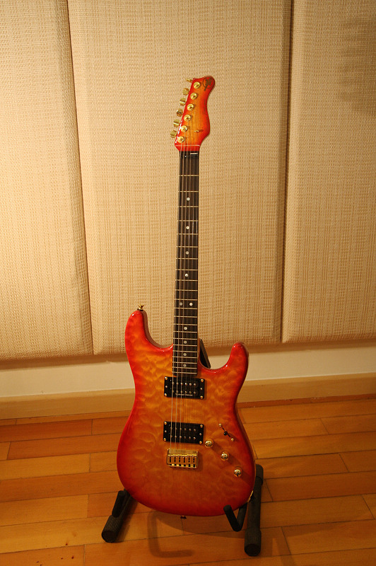 Valley Arts Guitars Custom Pro.JPG