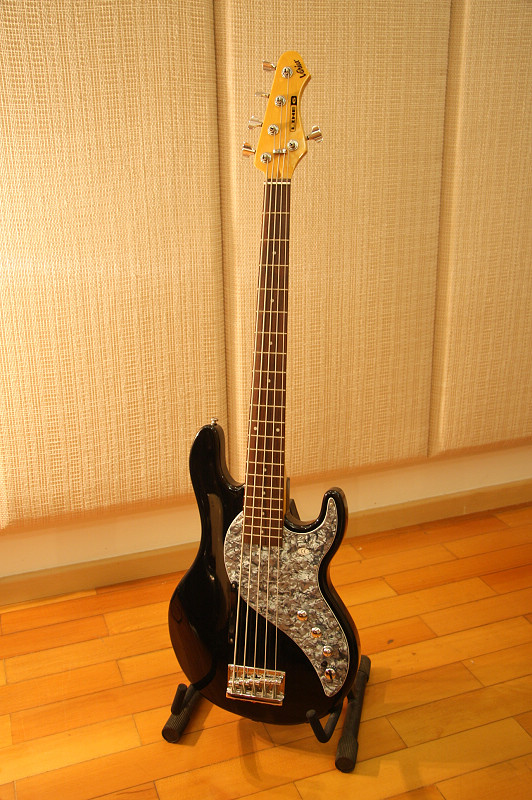 LINE6 BASS (1).JPG