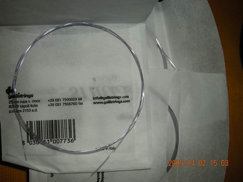 DSCN0874.JPG
