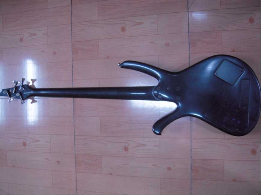 IBANEZ D900