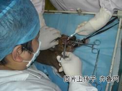 20090419_fc00545308c400c89000Mpcbks4OuCde.jpg