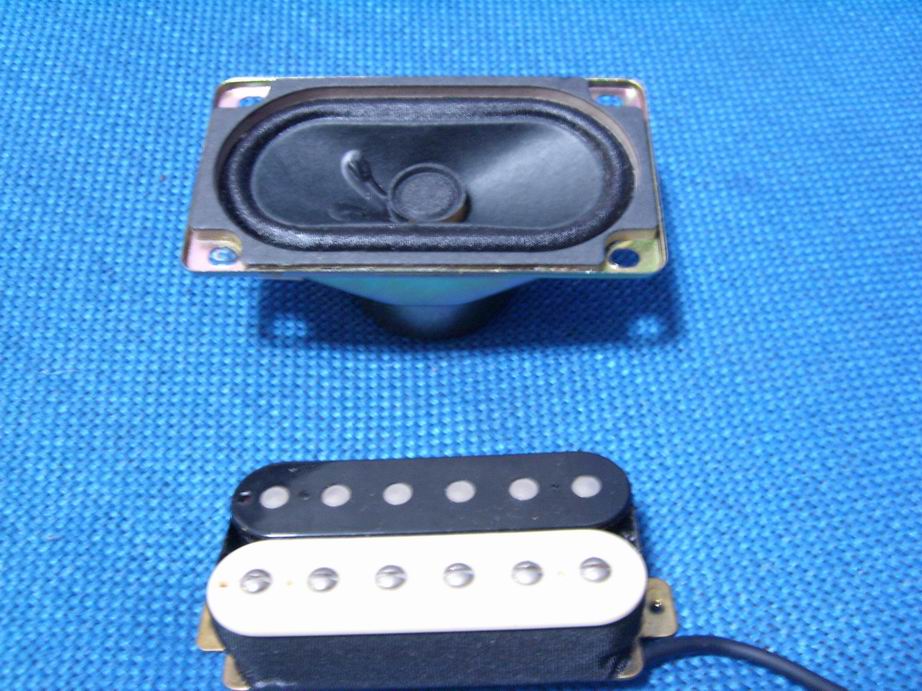 SL270088.JPG
