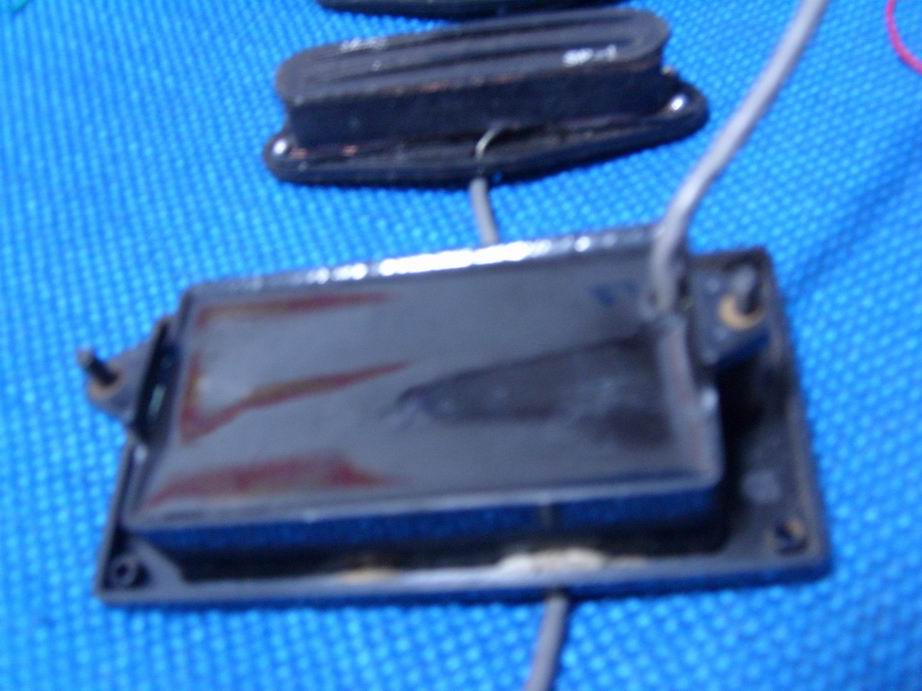 SL270066.JPG