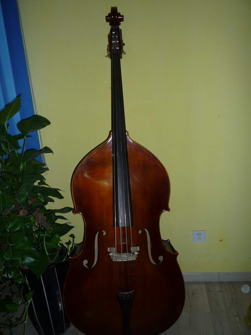 Double bass.JPG