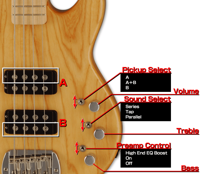 l2000_controls.gif