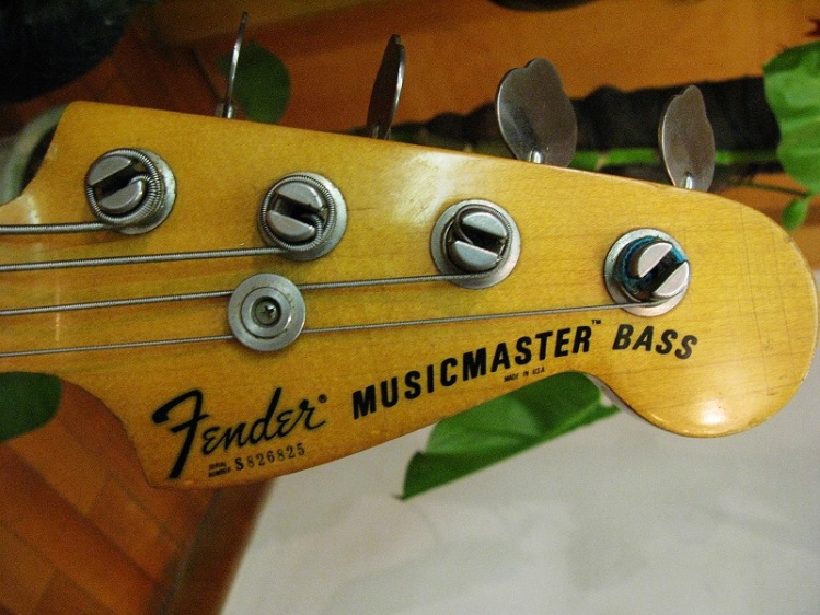 fender 2.jpg