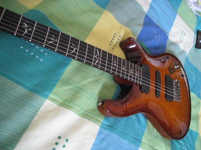 PRS PRS 004.jpg