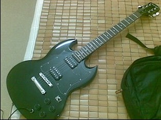 EPIPHONE GS-310