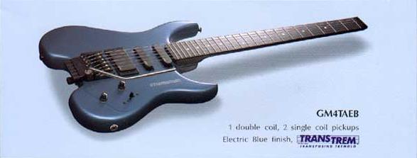 STEINBERGER12.jpg