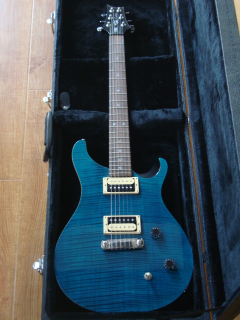 PRS SE CUSTOM