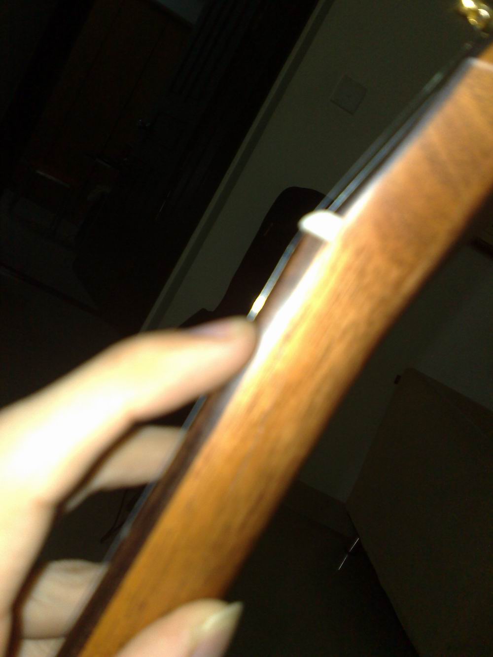 20090809361.jpg