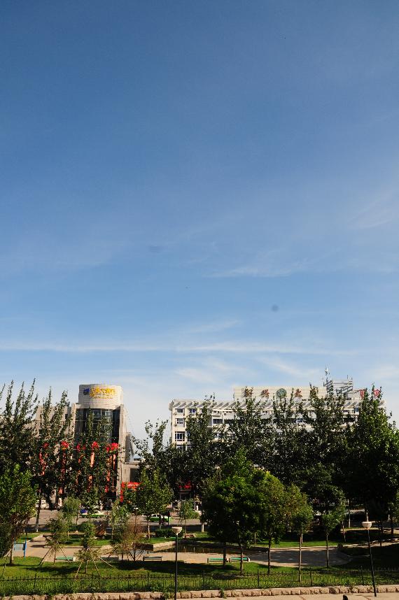 DSC_8780.JPG