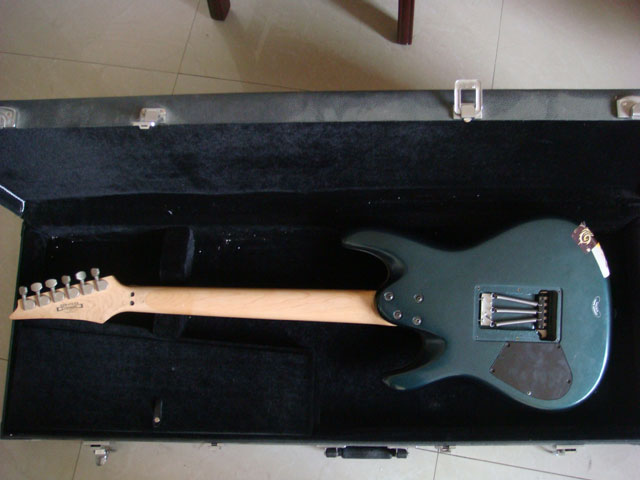 ibanez005.jpg