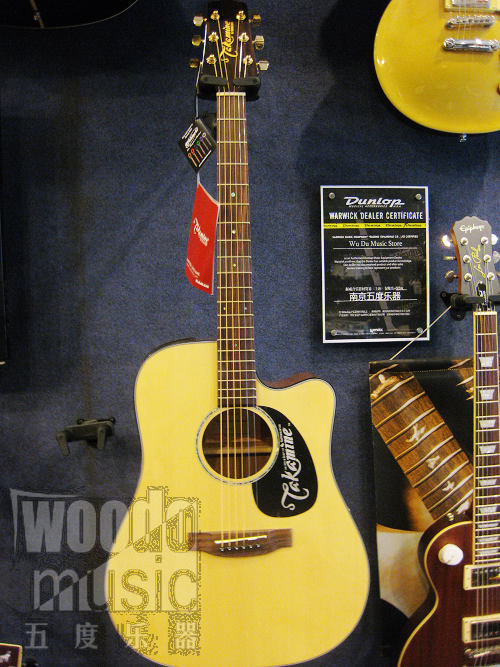 TAKAMINE EG340C 1.JPG