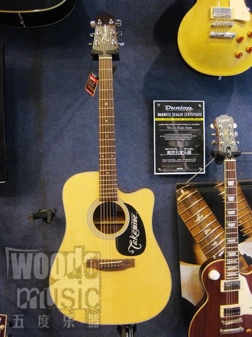 TAKAMINE ED20C 1.JPG