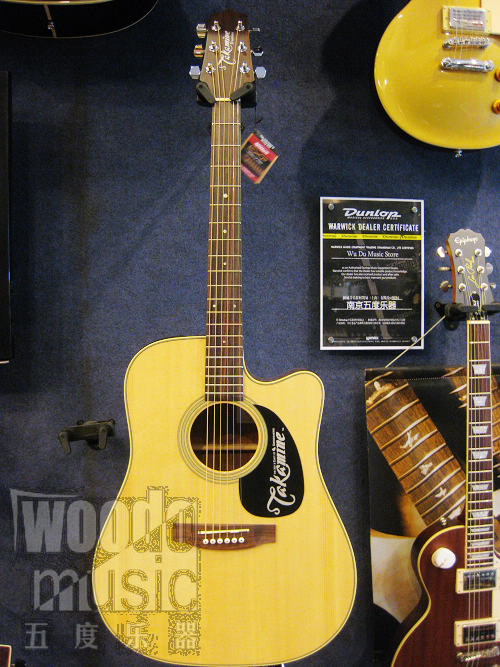 TAKAMINE ED21SC 1.JPG