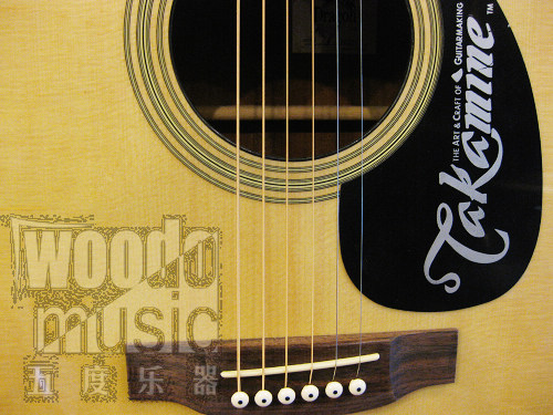 TAKAMINE ED21C 2.JPG