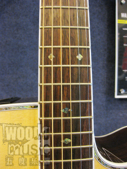 TAKAMINE EG360SC 3.JPG