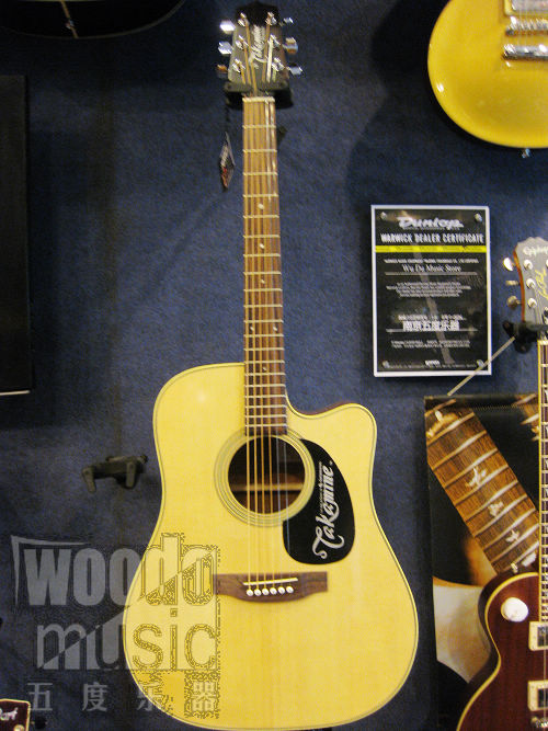 TAKAMINE ED21C 1.JPG