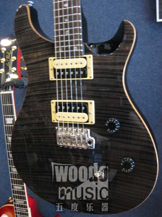 prs se custom 14.jpg