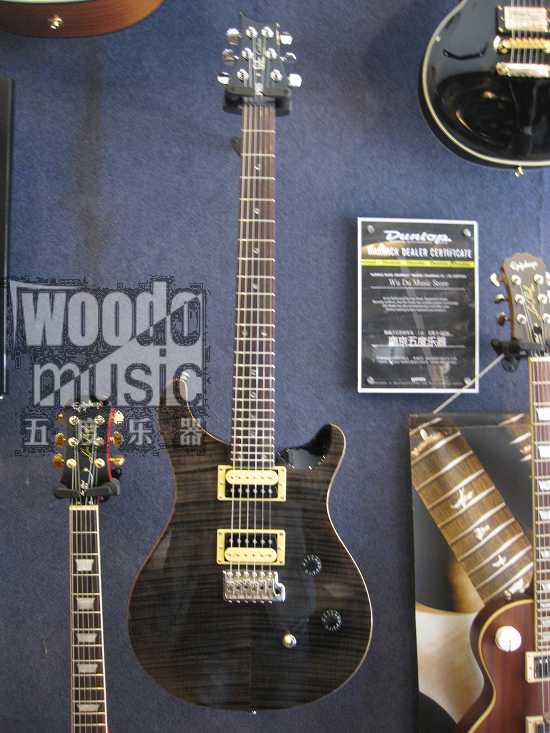 prs se custom 12.jpg