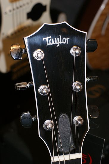 TAYLOR T5-4.jpg