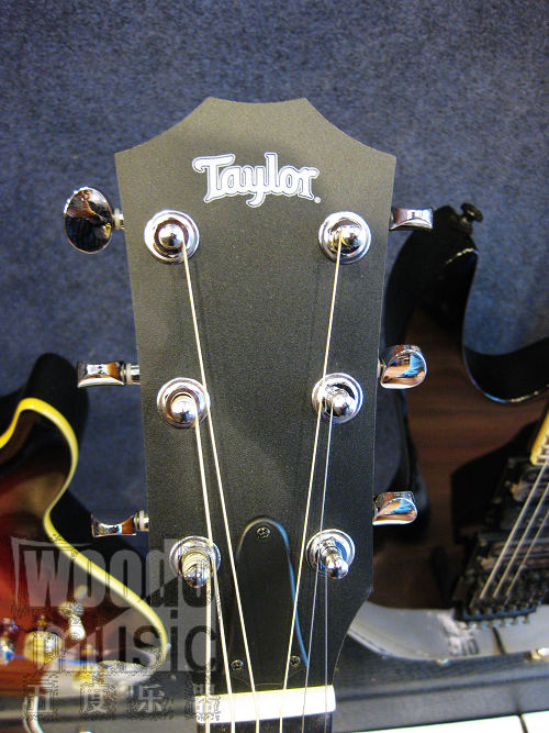 TAYLOR BBT 6.JPG