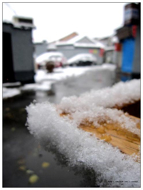 后海雪景13.JPG