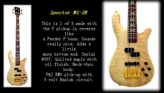 Spector NS-2R.jpg