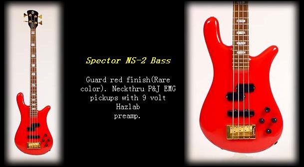 Spector NS-2-8.jpg