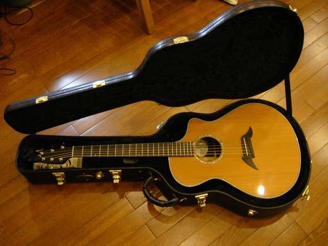 Breedlove Pro系列