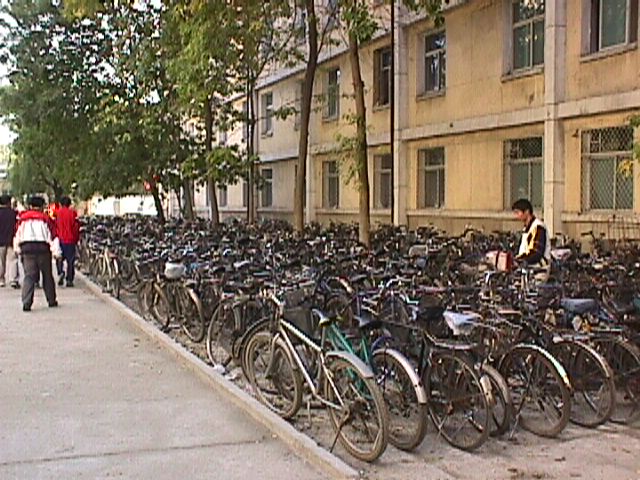 001.JPG
