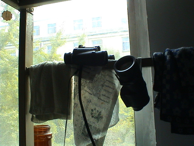 DSC00387.JPG