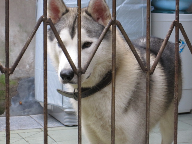 照片 013.jpg