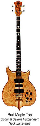 1981 Alembic Series I.jpg